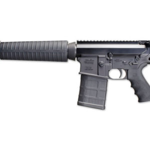 308 Rifle